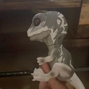 Untamed Raptors by Fingerlings